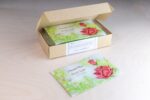Damask Rose | 12 Sachets - Image 2