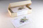Athena Olive & Fig | 12 Φακελάκια - Image 2